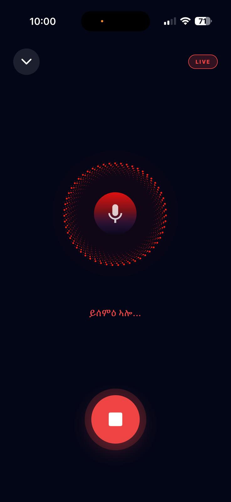 Voice Chat Interface